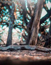 Our collection of hd photos are perfect for editing and can be used as widescreen backgrounds, full screen backgrounds, and desktop backgrounds and will look equally stunning on both windows and mac computers at any size (1600 x 1200, 1440, 1280, 1920). Best Cb Background Hd Free Stock Photo Download