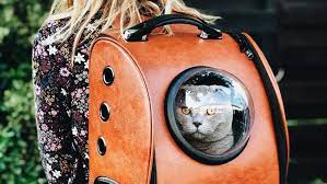 Cat backpacks' viral status was well deserved. 5 Best Cat Backpack Carriers 2021 Bubble Backpacks Reviews Guide