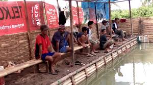 Kolam Pemancingan Ikan Emas Di Jl Sutawinangun Cirebon Youtube