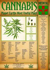 Pin On Naturally Healthy