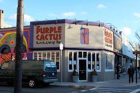 3371 washington st, jamaica plain (ma), 02130, united states. Neighborhood Staple With Purple Cactus Planetastebuds