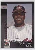 Charleston AlleyCats All Baseball Cards