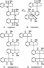 Image result for Strychnos matopensis