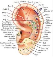 26 Best Ear Reflexology Images Ear Reflexology