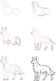Colección de clavel mawi • última actualización: Lobo Dibujo Paso A Paso Steemit