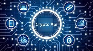 The top 10+ bitcoin, blockchain & cryptocurrency apis (updated 2021) last updated on may 13, 2021 by rapidapi staff 16 comments. Top 5 Best Cryptocurrency Apis For Developers