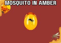 Medora: Take & Make Mosquito in Amber