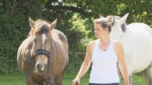 Heartbreak after girl, 7, finds pregnant horse dead with broken leg after  'deliberate attack' | ITV News Meridian