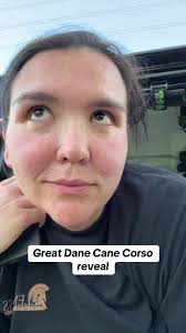 Big Dogs Mix Breed: Great Dane Cane Corso Funny Reveal