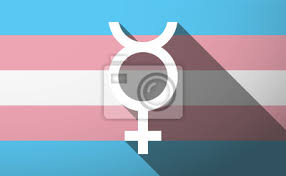 Flagg brukt av transpersoner, organisasjoner og samfunn (nb). Transgender Flagge Fototapete Fototapeten Transsexuelle Transgender Trans Myloview De