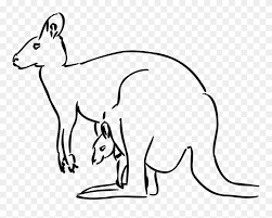 Classroom clipart over 100,000 free clip art images, clipart, illustrations and photographs for every occasions. Kangaroo Drawing Vector Image Kangaroo Clipart Black And White Png Download 5219963 Pinclipart