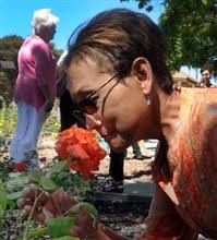 Oxnard hopes to smell the roses at Wilson Park