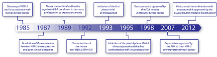 These findings are based on the data collected over 10 years ago between 2001 and 2002. Trastuzumab Cardiotoxicity From Clinical Trials To Experimental Studies Nemeth 2017 British Journal Of Pharmacology Wiley Online Library