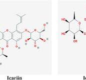 Frontiers | Icariside II: Anticancer Potential and Molecular ...