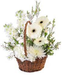 Shown above is a sweet wicker basket filled with crocus flowers! Pristine White Basket Floral Arrangement In Greenfield Ma Floral Affairs