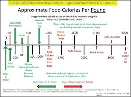 plant based medicine page 12 resources for the