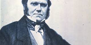 Why men are not biologically useless after all …