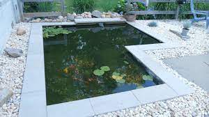 The big colorful fish attract children magically and it can quickly lead to accidents. Diy Modern Backyard Koi Pond On A Budget Youtube