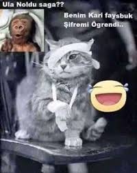 Hahay Iyi Olmus Komik Alintilar Komik Seyler Komik