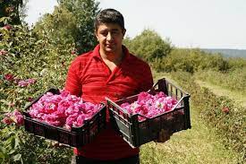 Este o afacere profitabilă, cu investiție redusă, cheltuieli mici, deci cu șanse mari de a deveni profitabilă rapid. Dulceata De Trandafiri Cum A Ajuns O Familie Din Brasov Sa Aiba O Afacere Profitabila Pe Doua Continente