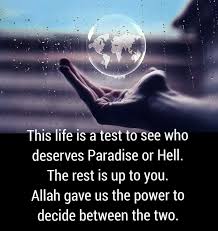 Pin By G S On Islam Islamic Quotes Learn Islam Quran Quotes