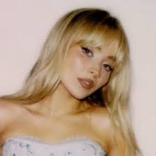 megan “pitt brained” cisneros🏳️‍🌈🇵🇸 (@saltysapphicc)