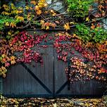 Harvest Reverie