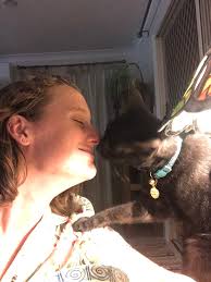 Missing Cat in Boyle, maybe someone has seen him 🐈‍⬛️  https://www.facebook.com/share/p/1BCC67rST1/