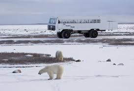 [Image: images?q=tbn:ANd9GcTcYhMUHGXvyG2olTQXhA5...FhHoyey3Vi]