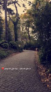 صورة فخميشن beautiful quran quotes arabic quotes beautiful arabic words