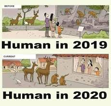 Lionel On Twitter Very Funny Memes Funny Relatable Memes Crazy Funny Memes