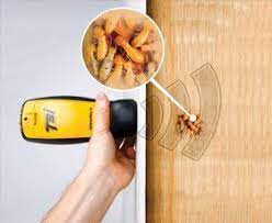 Provides pest control solutions for residential and commercial clients. Boundary Exterminare Corp Pest Control Massapequa Ny