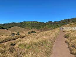 斯里蘭卡5 必遊世界遺產 霍頓平原 世界的盡頭 horton plains national park 右上的世界食旅 country roads road country