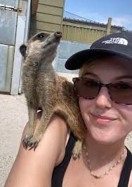 Hi, we are two girls looking to find 2/3 others to join us finding a house  in the Horfield/Gloucester Road area. We will be starting at UWE this month  so looking to