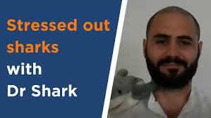 A day in the life of a coral reef scientist with Dr Selina Ward