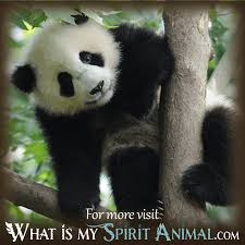 Do you need a better work/life balance? Panda Bear Dream Meaning And Symbol What Is My Spirit Animal Spirit Totem Power Animals
