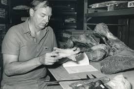 Image result for Tragia grandistipularis