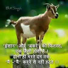 Pin By Sadhna Goel On Faith Superb Quotes Friendship Quotes Friendship Quotes In Hindi
