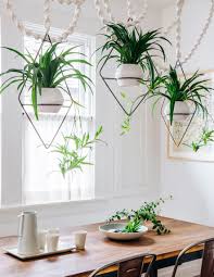 Suspend Them In Air Hanging Plants House Plants Decor Hanging Plants Indoor