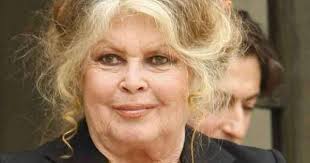 Brigitte bardot | брижит бардо. Brigitte Bardot Welcomes Confinement Web24 News