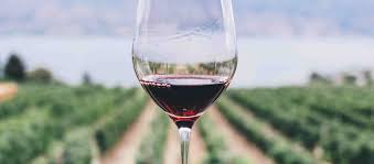 Read on for some hilarious trivia questions that will make your brain and your funny bone work overtime. Basic Pinot Noir Quiz Wine 365