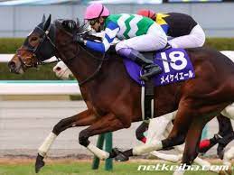 ほうずきみたいに紅い魂 ⅱ ルーネイトエルフ ⅲ 上海紅茶館 ～ chinese tea ⅳ ヴワル魔法図書館 ／ ラクトガール ～ 少女密室 ⅴ メイドと血の懐中時計 ／ 月時計 ～ ル. ãƒ¡ã‚¤ã‚±ã‚¤ã‚¨ãƒ¼ãƒ« ç«¶èµ°é¦¬ãƒ‡ãƒ¼ã‚¿ Netkeiba Com