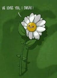 He Loves Me He Loves Me Not Funny Cartoons Cute Love Quotes Humor