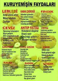 Saglik Rehberi On Saglik Saglikli Yasam Saglikli Yasam Tarzi