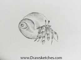 Be sure you have all the needed supplies. How To Draw A Hermit Crab By Drawsketches On Deviantart