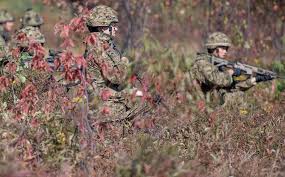 Photos Petawawa Soldiers Test New Camouflage Uniform Pattern Ottawa Citizen We have more than 6 years experience in government and military tender projects that bring you correct and suitable products in bidding.
