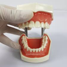 360,645 likes · 7,157 talking about this. Ham ThÆ°c Hanh Mai Cui Cong Ty Tnhh Nha Khoa Sa Viá»t Nam