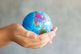 Free sale certificate attestation is one of the fundamental procedures of authentication in which an attestation stamp from the concerned officials is procured. Certificate Of Free Sale Bkkm Npra