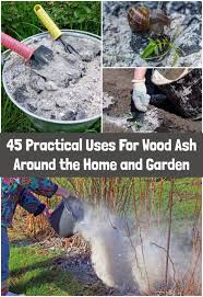 Wood ash is a good source of potassium (potash), calcium carbonate (lime) and trace. 45 Practical Uses For Wood Ash Around The Home Garden Ash Wood Organic Gardening Uses For Ashes