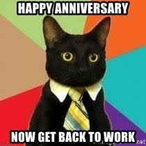 At memesmonkey.com find thousands of memes categorized into thousands of categories. Happy Anniversary Now Get Back To Work Ppc Business Cat Meme Generator